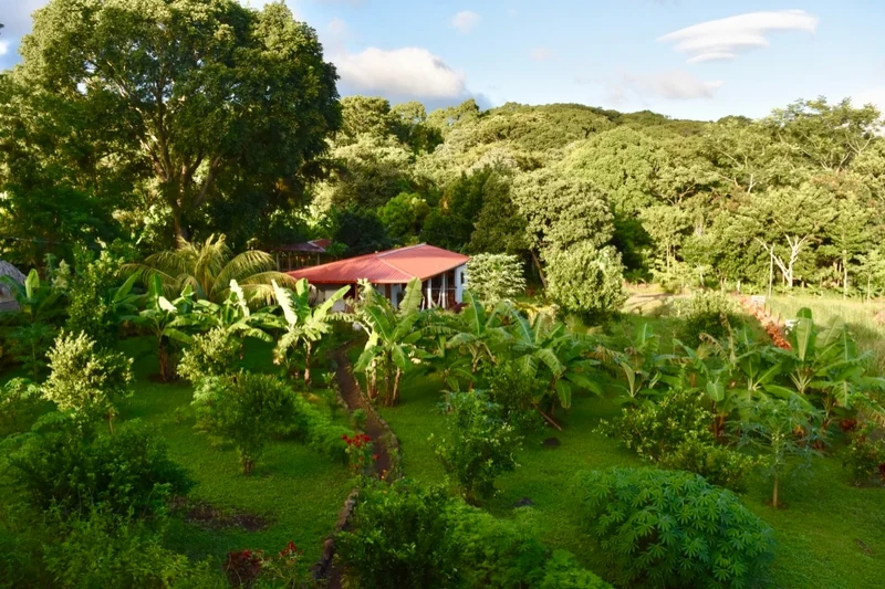 Finca Ometepe - The Hummingbird House - Farm stays for Rent in Balgue ,  Ometepe, Nicaragua