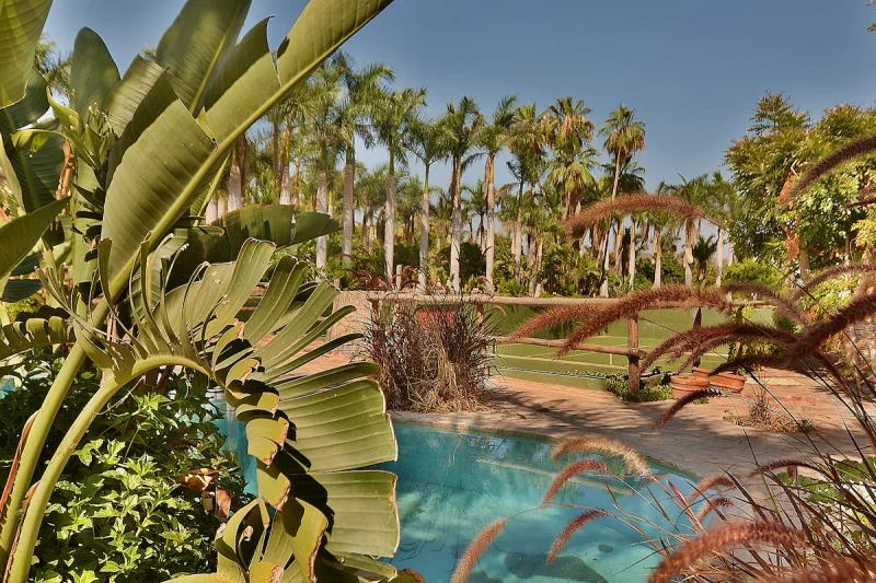 Rancho Danza del Sol, 25-acre mango and lychee ranch — 7 bedroom vacation rental in Todos Santos