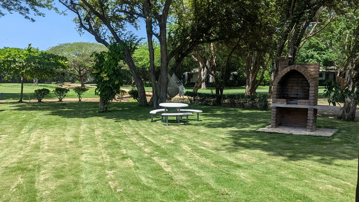 Arbolito Viejo (2br) 43
