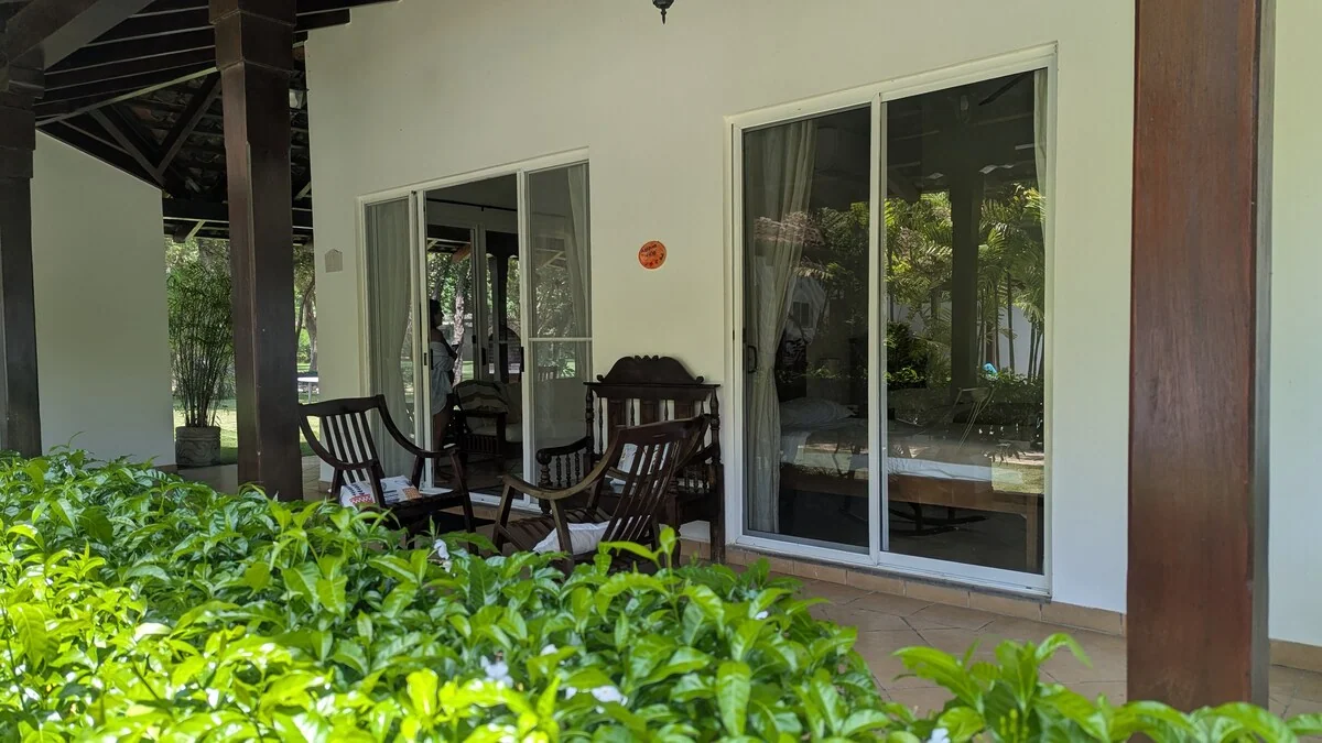 Arbolito Viejo (2br) 34
