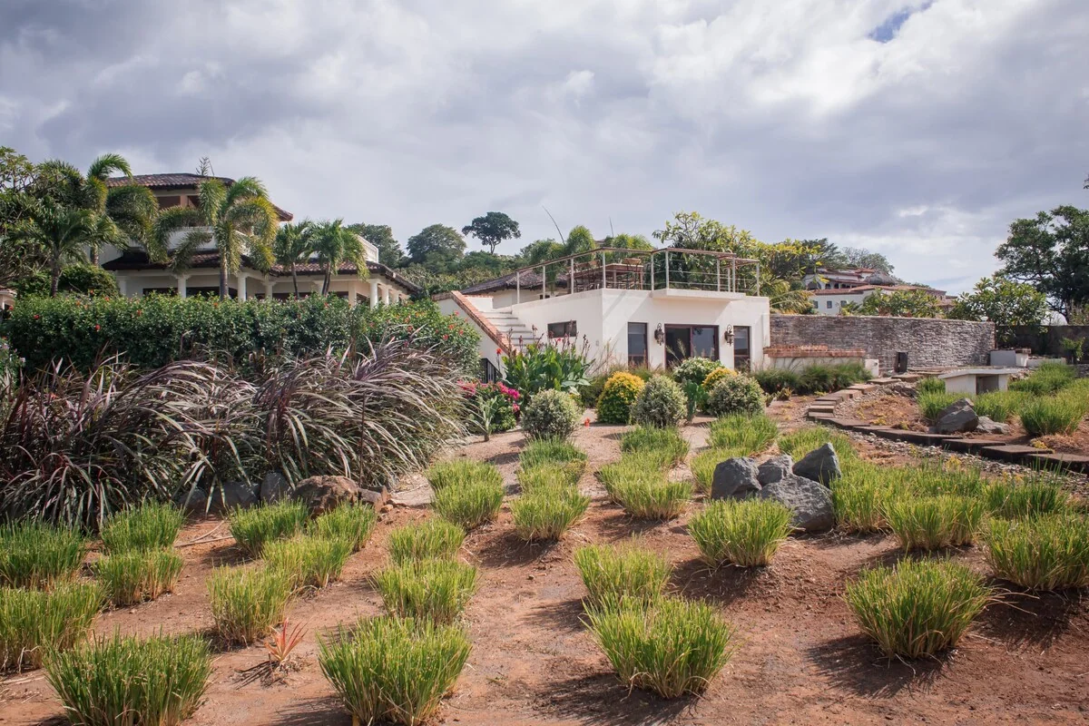 A landscaped garden with grasses, rocks, shrubs, and palm trees surrounds a white house beneath a partly cloudy sky.