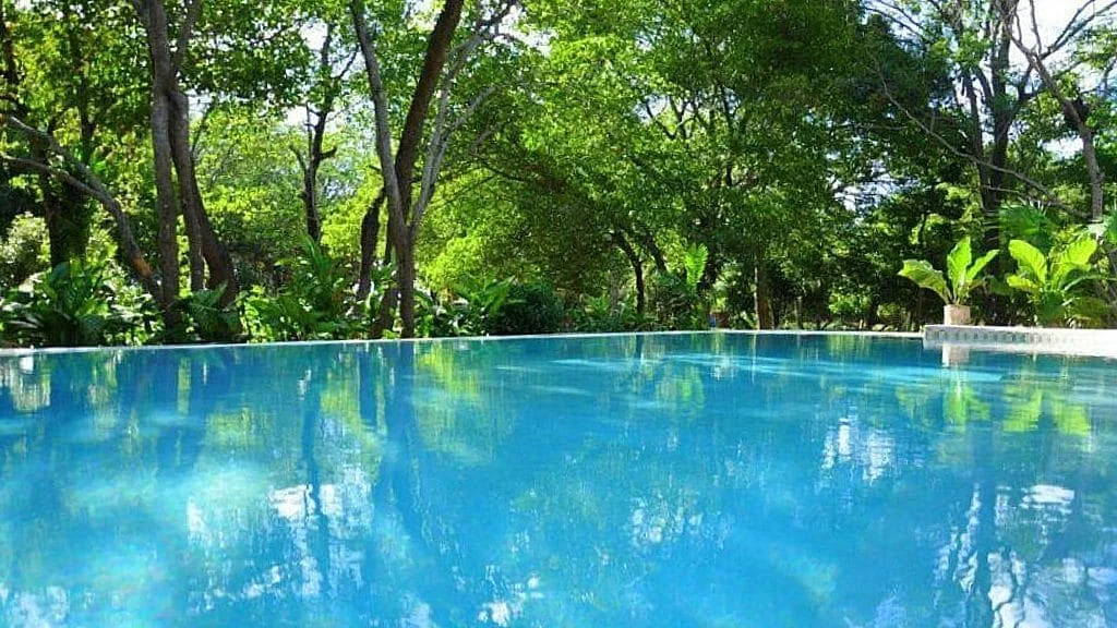 Casa la Selva (2br) 22