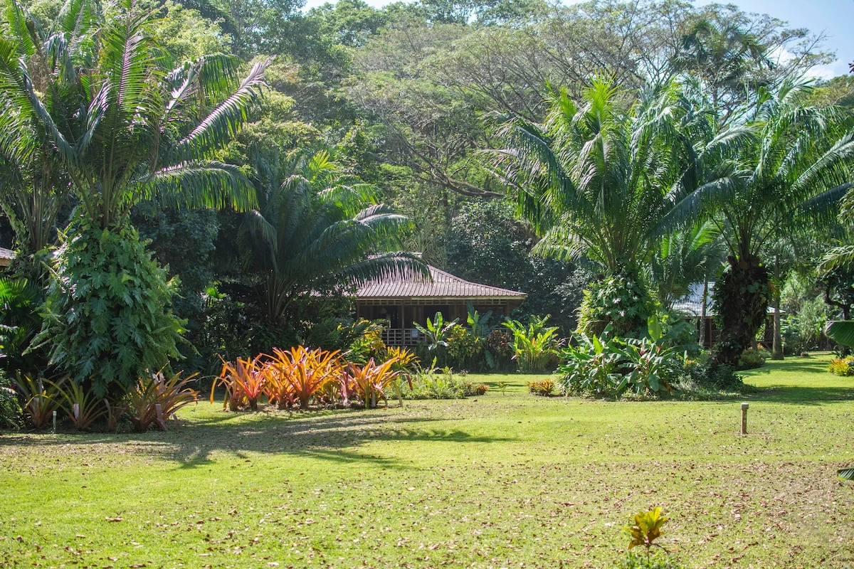 Casa Viva Eco Lodge Beachfront Bungalow 1 - Bungalows for Rent in Puerto Viejo de Talamanca, Limón, Costa Rica - Image 1