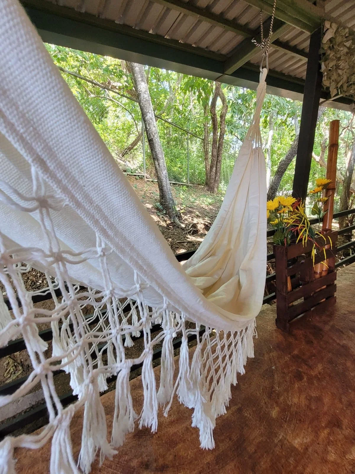 Casa 2001 - Apartments for Rent in Tamarindo, Provincia de Guanacaste, Costa Rica