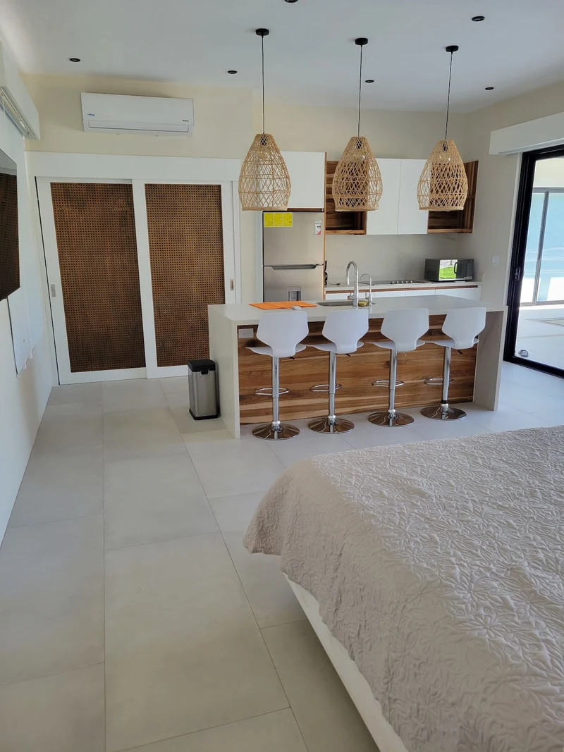 Olympique pool - Guesthouses for Rent in Pinilla, Guanacaste Province, Costa Rica