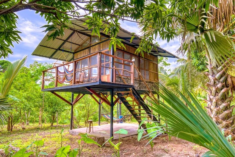 La Palmera: a treehouse nestled in an Organic farm - Nature lodges for Rent in Balgüe, Rivas, Nicaragua