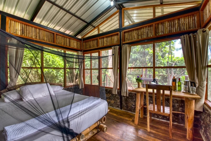 FarmHouse: off-grid treehouse on Organic PC farm - Farm stays for Rent in Magdalena, Rivas Department, Nicaragua
