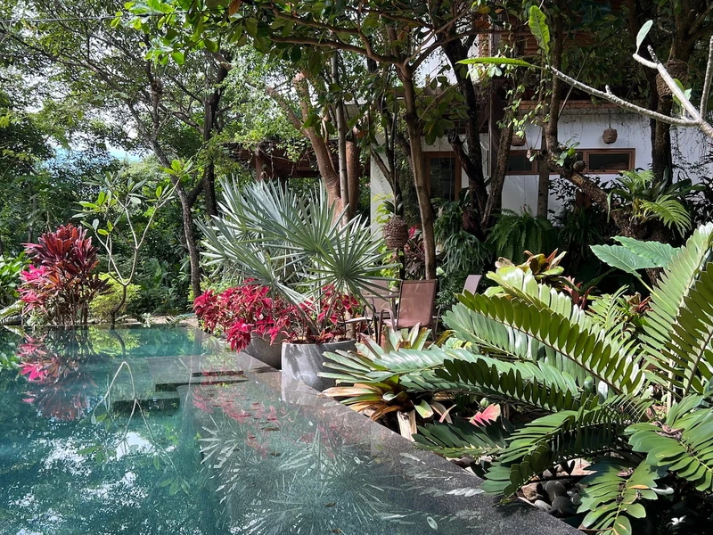 Plumeria Guest House - Houses for Rent in Santa Cruz, Provincia de Guanacaste, Costa Rica