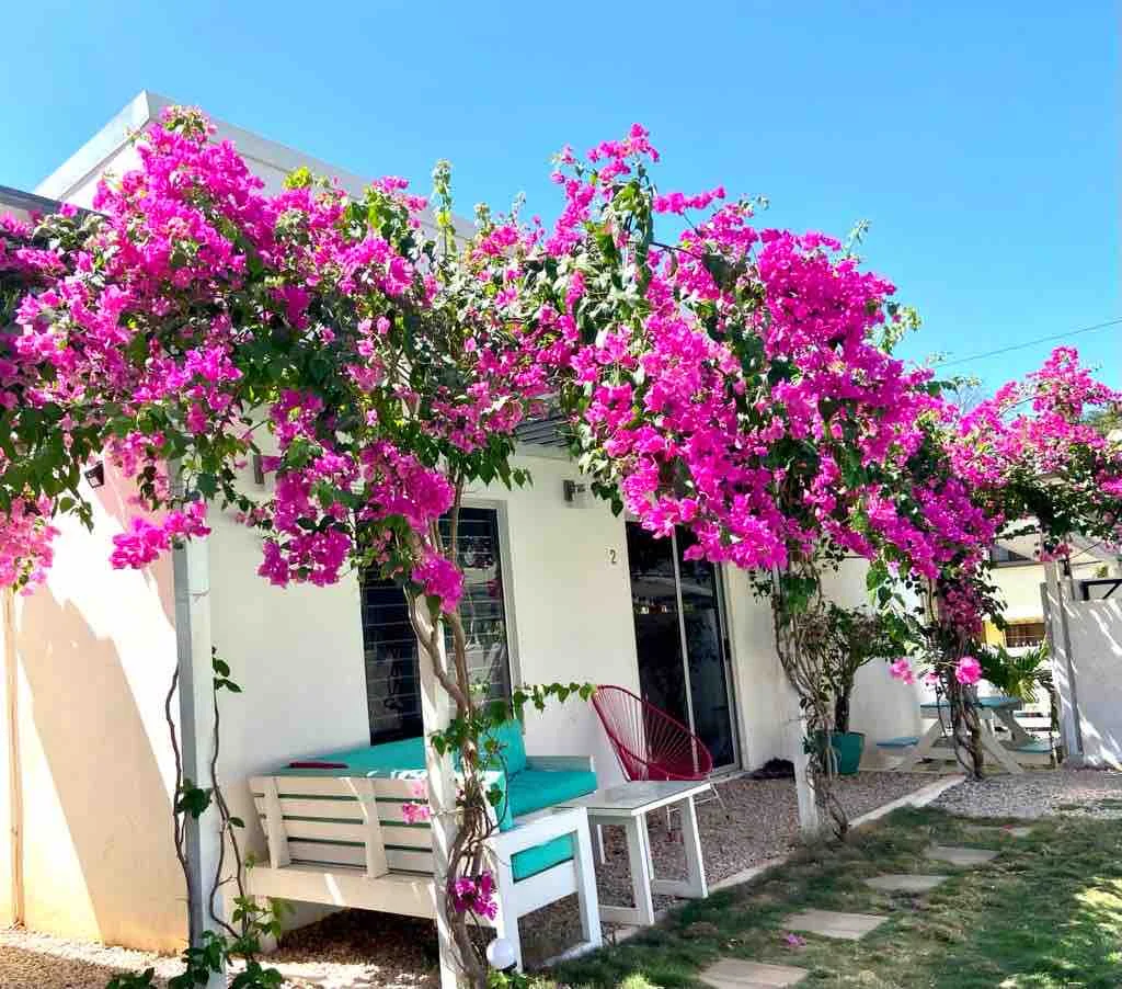 Villa 2  “Walking distance beach & all service” - Condominiums for Rent in Tamarindo, Provincia de Guanacaste, Costa Rica