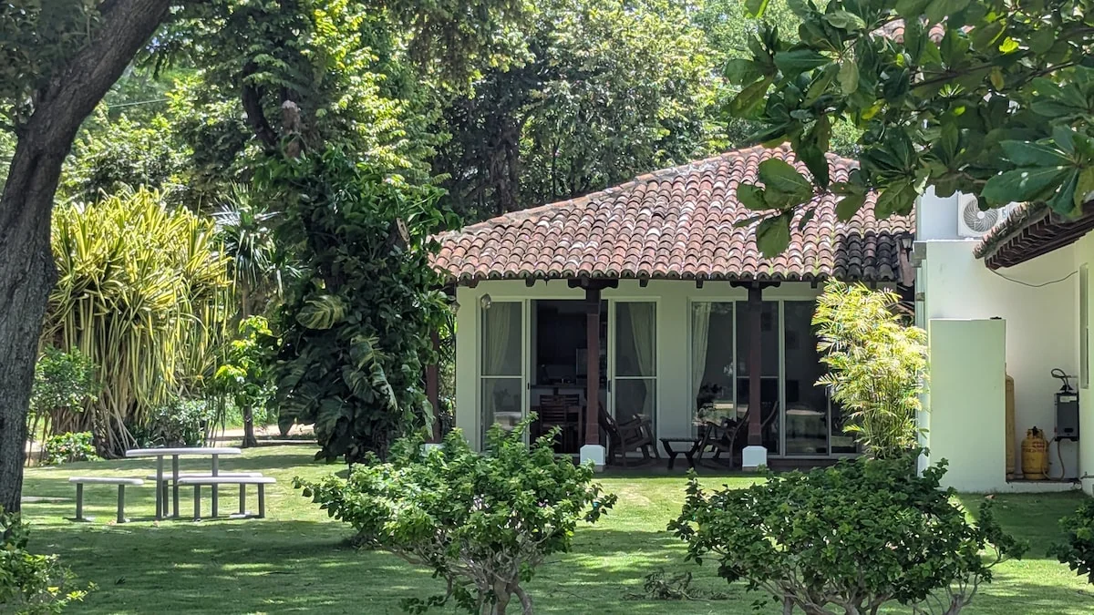 Arbolito Viejo (2br) 36