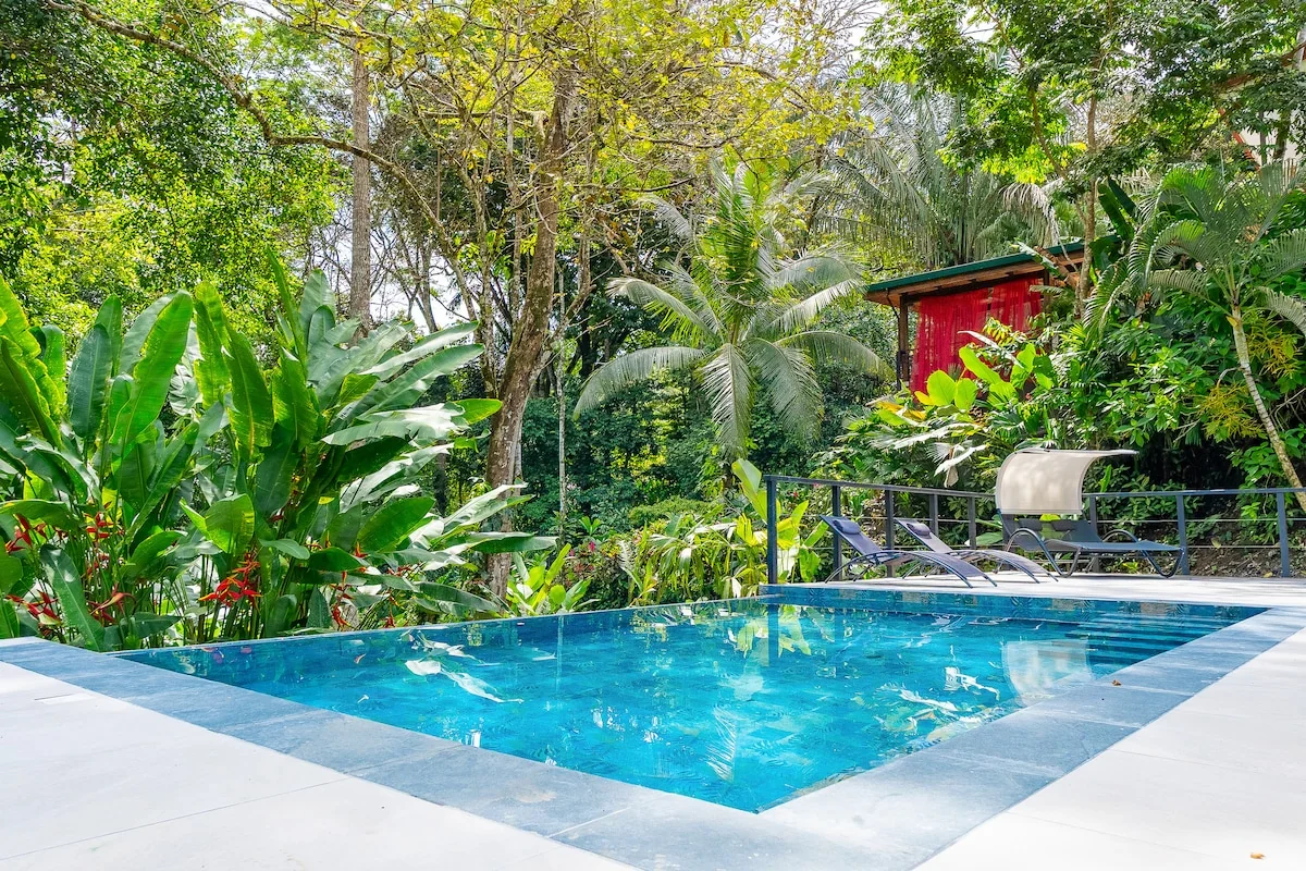 Casa Luna Jungle Retreat - new infinity pool - Image 1