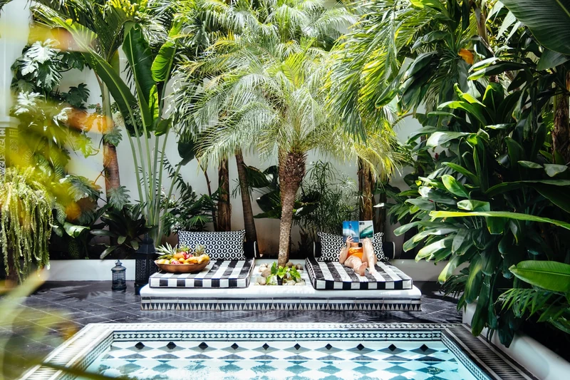 The Casa Violeta - Relaxed Luxury in Granada - Houses for Rent in Granada, Granada, Nicaragua