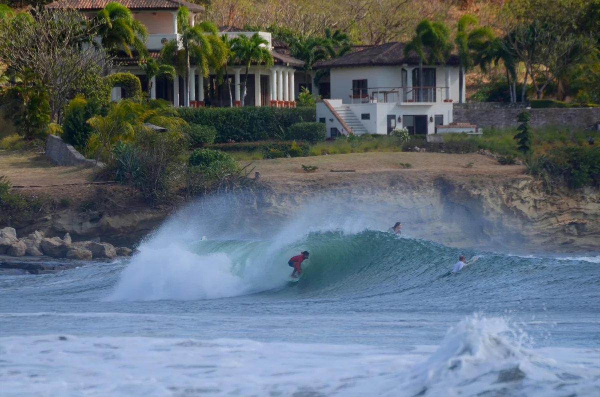 Three surfers ride a breaking wave in front of a tree-lined shoreline with houses.