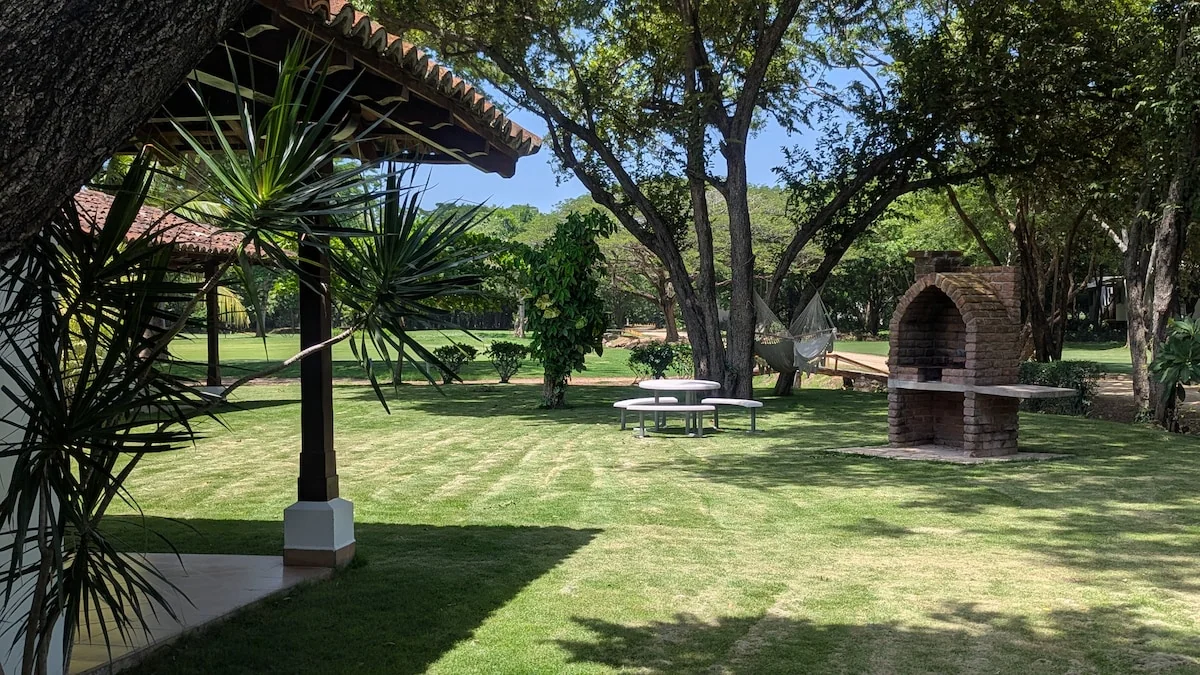 Arbolito Viejo (2br) 41