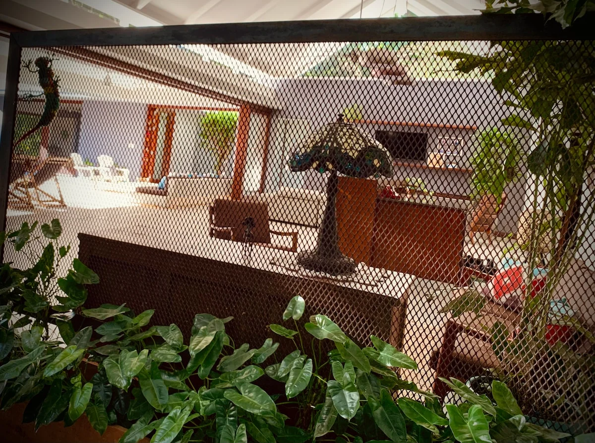 Casa de las Lapas. Monkeys & Macaws!