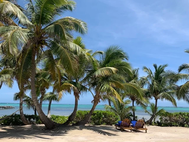 Villa Amber | Beachfront 2BR Paradise - Houses for Rent in San Pedro, Belize - Image 1