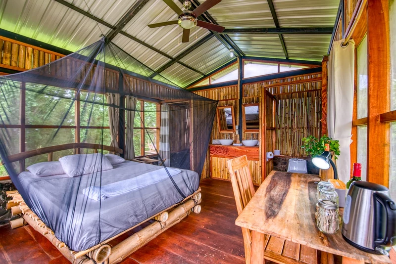 La Palmera: a treehouse nestled in an Organic farm - Nature lodges for Rent in Balgüe, Rivas, Nicaragua