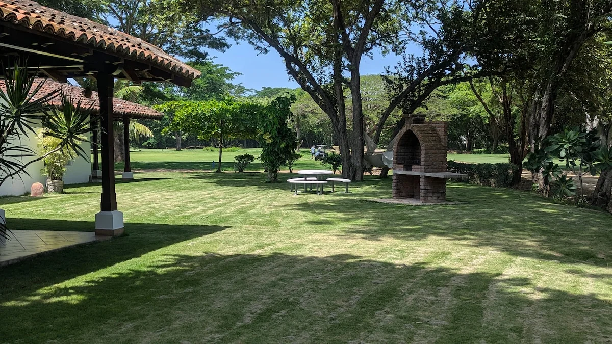 Arbolito Viejo (2br) 44