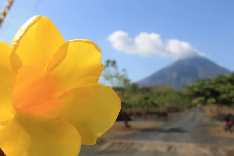 Ometepe B&B - Family Room 1 of 7 (Breakfast Incl) - Bungalows for Rent in Moyogalpa, Rivas Department, Nicaragua