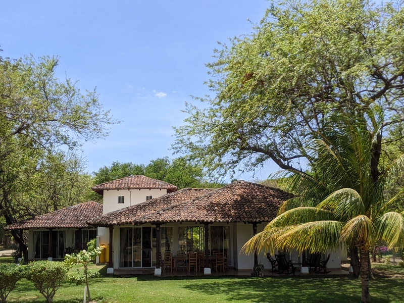 A house with a tiled roof surrounded by a well-maintained green lawn and various trees, including a prominent palm tree. The sky is bright blue, indicating a sunny day.