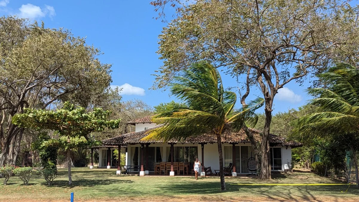 A single-story building with a tiled roof sits behind a grassy lawn surrounded by mature trees and palm trees under a bright blue sky.