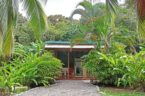 Casa Lluvia — 1 bedroom vacation rental in Playa Carbonera
