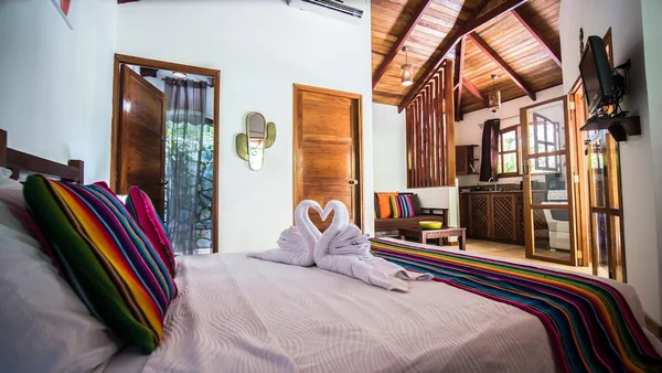El Pequeño Gecko Verde — 1 bedroom vacation rental in Buena Vista