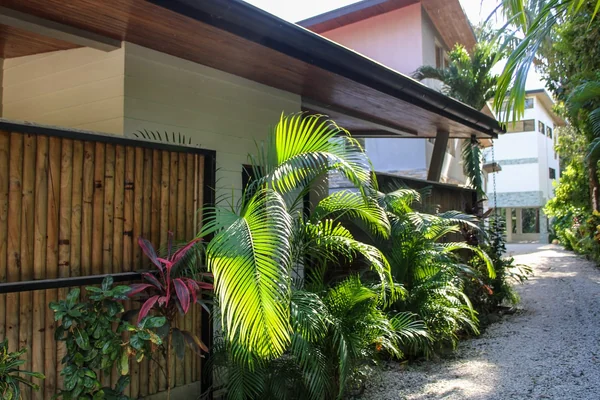 Casa Amor — 1 bedroom vacation rental in Guanacaste Province