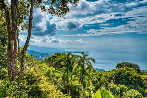 Casa Flores — 2 bedroom vacation rental in 