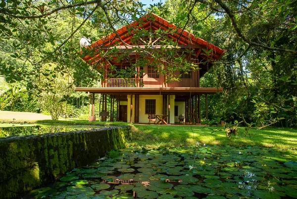 Casa Ranas — 3 bedroom vacation rental in Puerto Jiménez