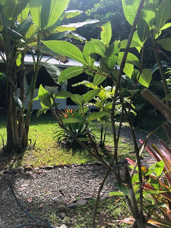 Studio in Limón Province — 1 bedroom vacation rental in Limón Province