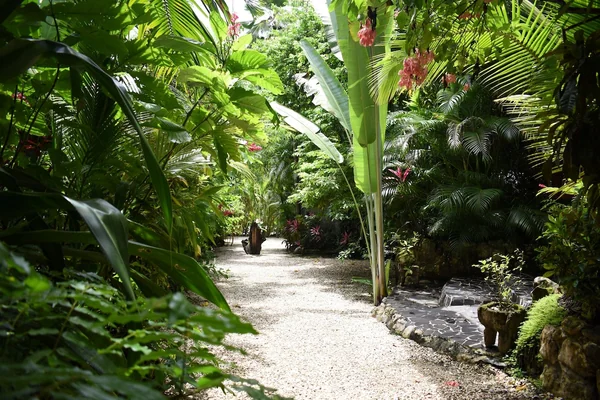 'Primer Ola' Garden House — 2 bedroom vacation rental in Malpaís