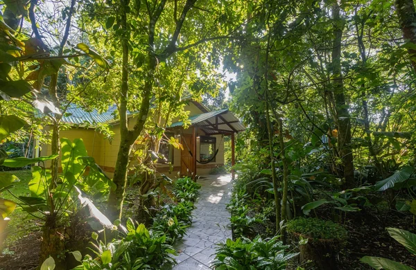 Valle Campanas — 2 bedroom vacation rental in Monte Verde