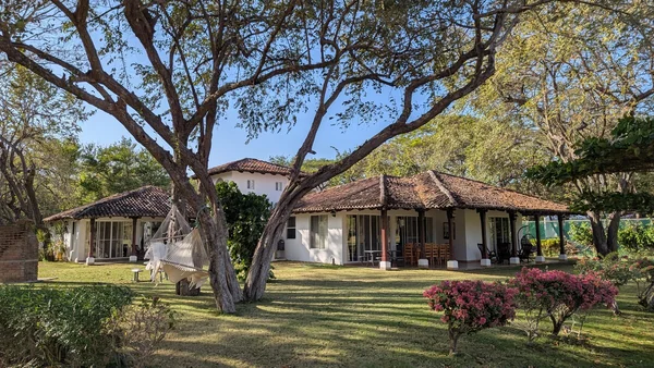 A tiled-roof house sits in a spacious grassy garden shaded by large trees, with flowering shrubs and a hammock in the foreground.