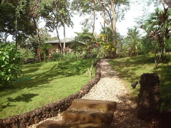 Casa Linda Vista — 1 bedroom vacation rental in Playa Grande