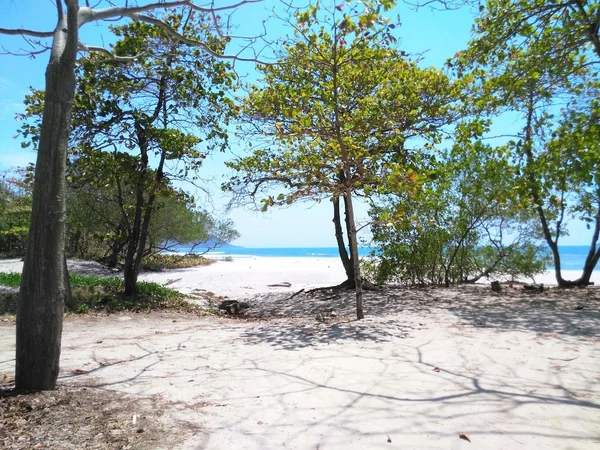 Home 2 — 2 bedroom vacation rental in Santa Teresa