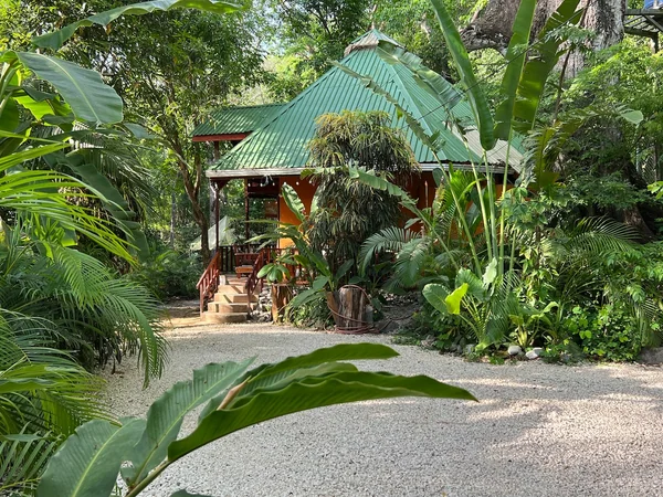 Pochote Jungle House — 1 bedroom vacation rental in Malpaís
