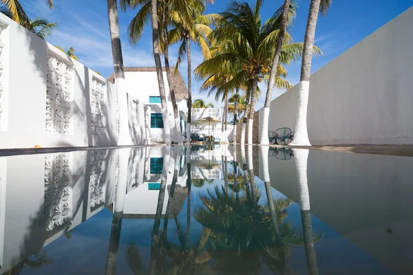 3BR Villa in Río Lagartos — 3 bedroom vacation rental in Río Lagartos