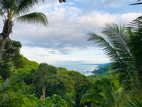 Pacific Edge — 1 bedroom vacation rental in Dominicalito