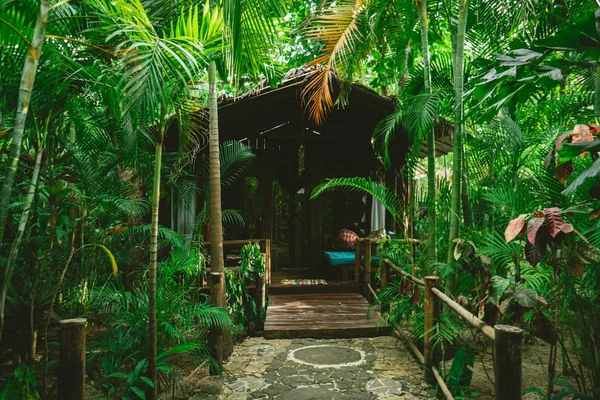 Studio in Tamarindo — 1 bedroom vacation rental in Tamarindo