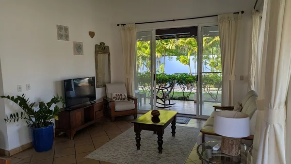 A bright living room with a television, coffee table, armchairs, plants, and glass doors opening toward greenery outside.