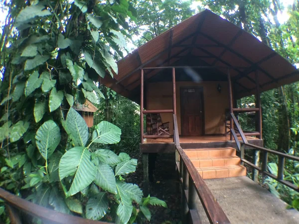 Rainforest Cabin — 1 bedroom vacation rental in Tortuguero