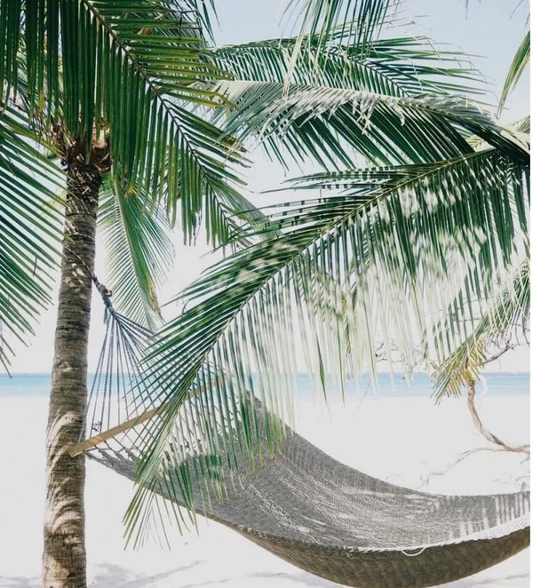 2BR Condo in Playa Langosta — 2 bedroom vacation rental in Playa Langosta