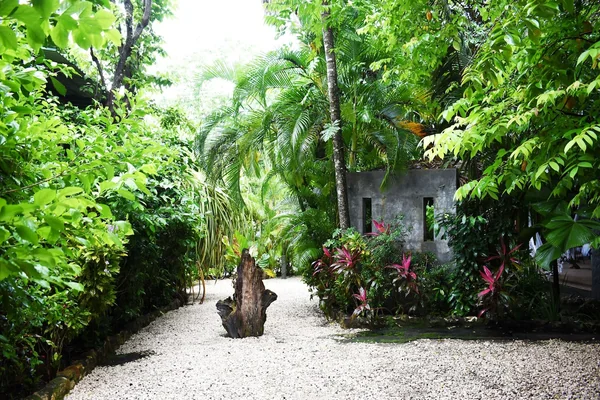 Tropical Garden Lodge — 1 bedroom vacation rental in Puntarenas Province