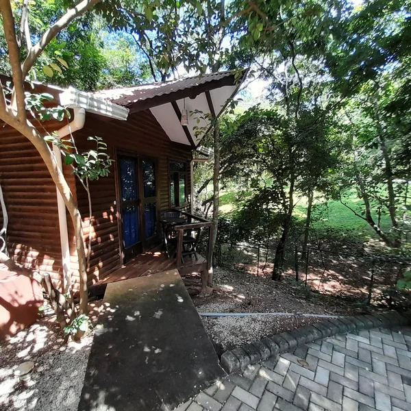 Studio in Playa Avellanas — 1 bedroom vacation rental in Playa Avellanas