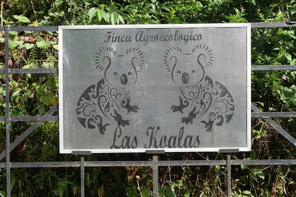 Finca Agroecológica las Koalas — 0 bedroom vacation rental in Perez Zeledon