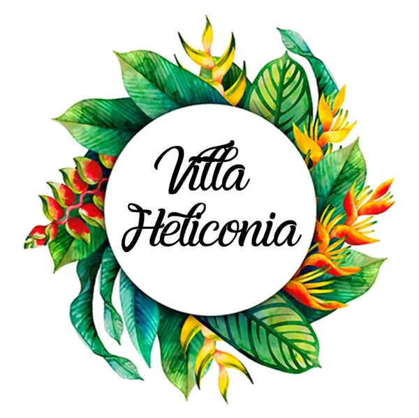 Villa Heliconia — 4 bedroom vacation rental in Desamparaditos