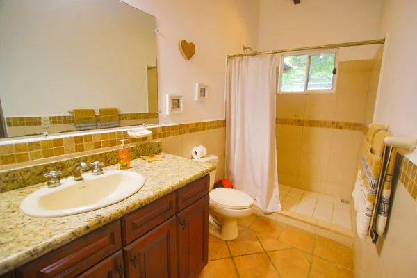 A bright bathroom with a granite vanity, large mirror, toilet, tiled shower, and hanging towels.