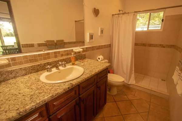 A warm-toned bathroom with a granite vanity, large mirror, toilet, tiled shower, and window.