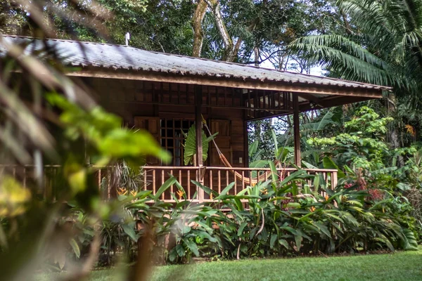 Casa Viva — 1 bedroom vacation rental in Punta Uva